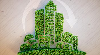 Экологически устойчивое развитие