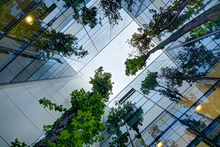 похожие темы