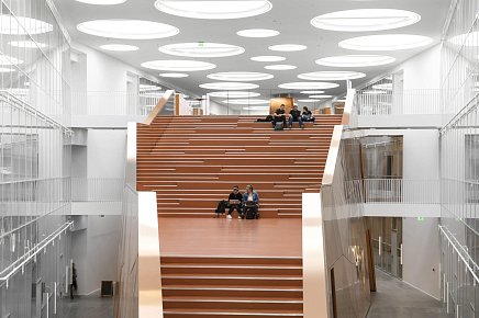 Потолочные и стеновые панели