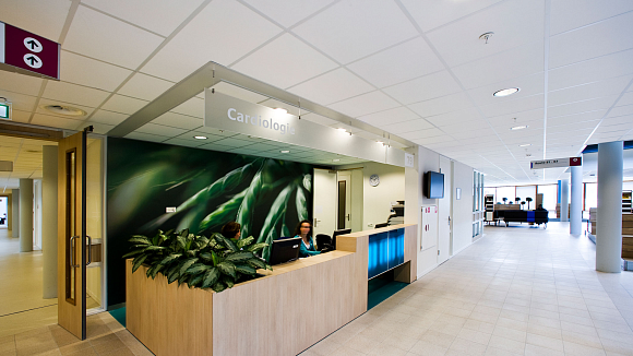 Рокфон Медик Стандарт