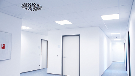 Рокфон ЛИЛИЯ